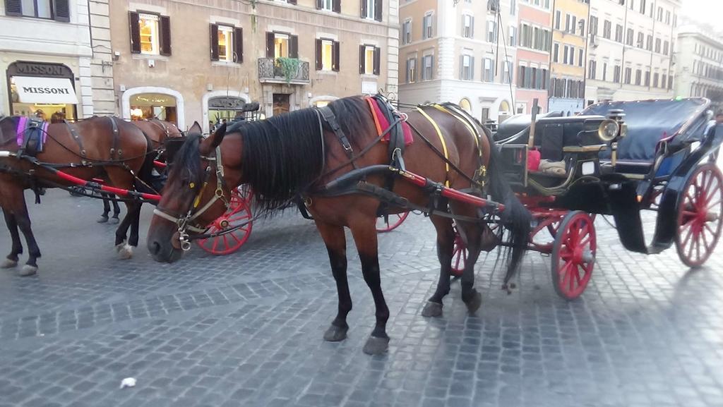 Bed And Breakfast Adduci'S House Roma Exterior foto