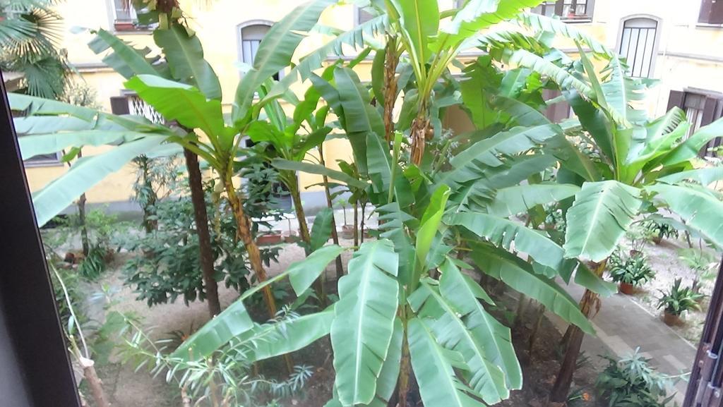 Bed And Breakfast Adduci'S House Roma Exterior foto